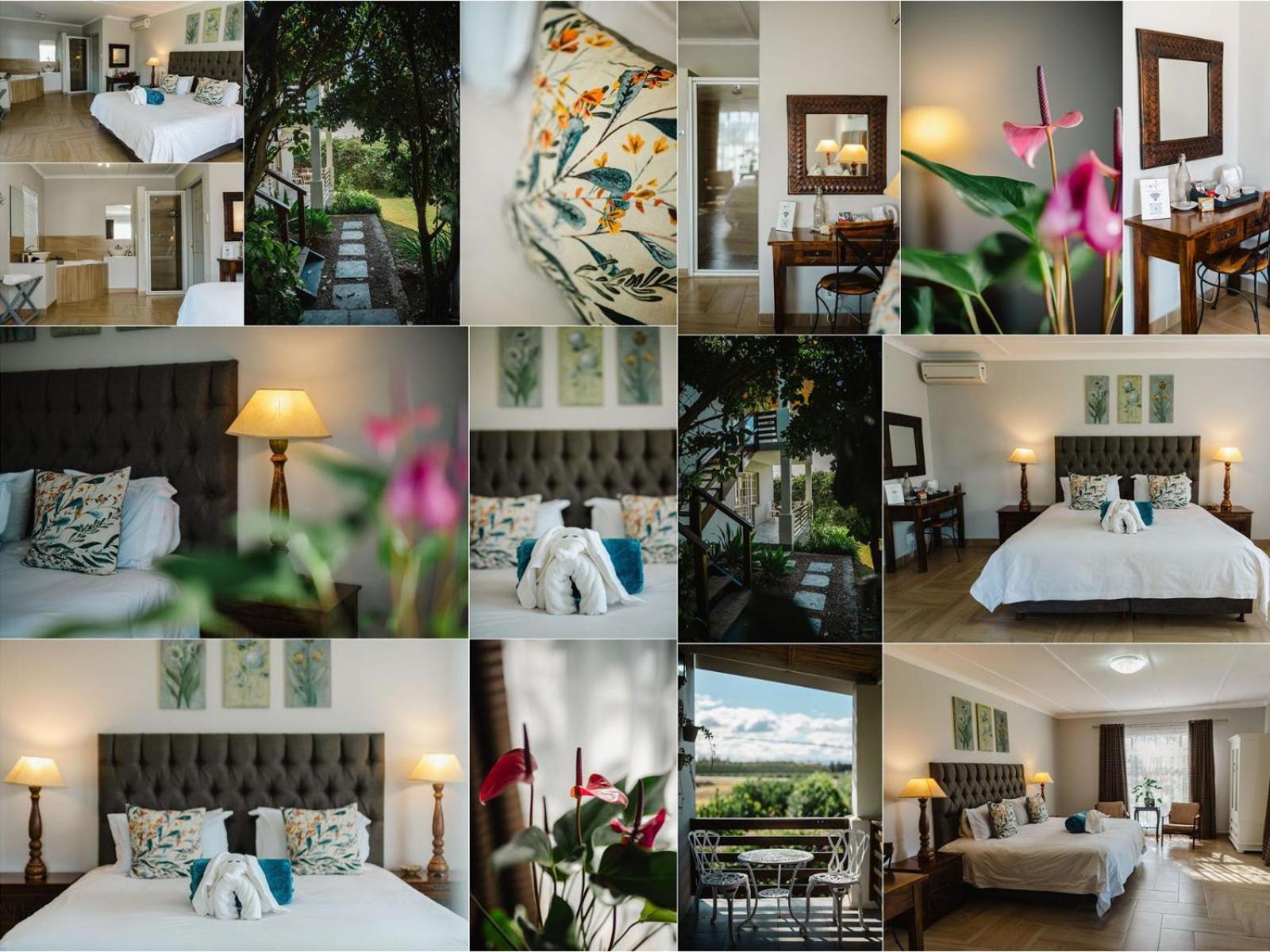 Hopefield Guesthouse-Addo Quarto foto
